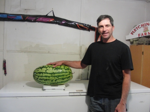 watermelon (1000x750)